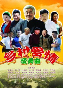 鄉(xiāng)村愛情6