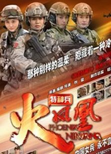 我是特種兵之火鳳凰（DVD版）