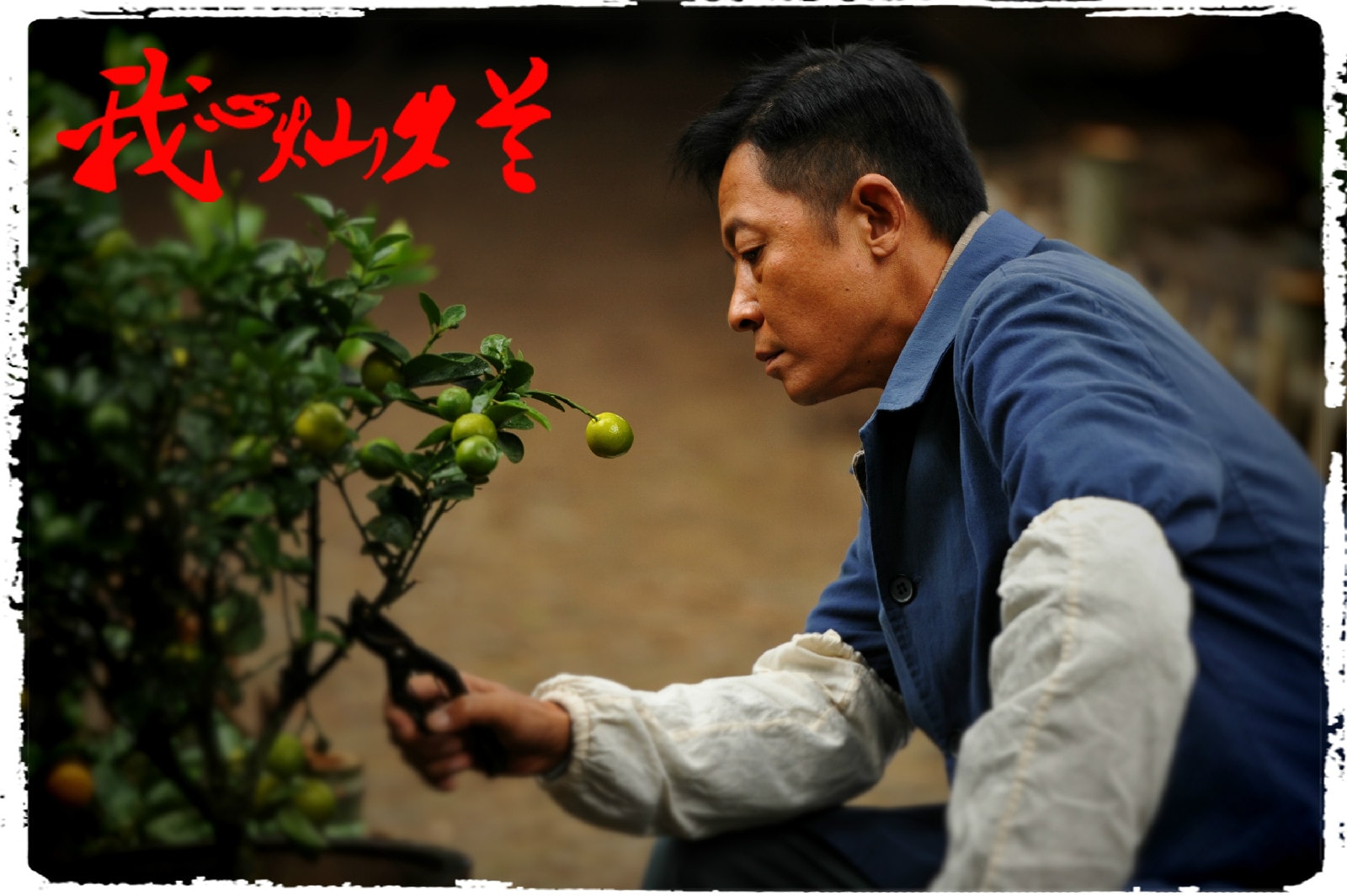 《我心燦爛》劇照