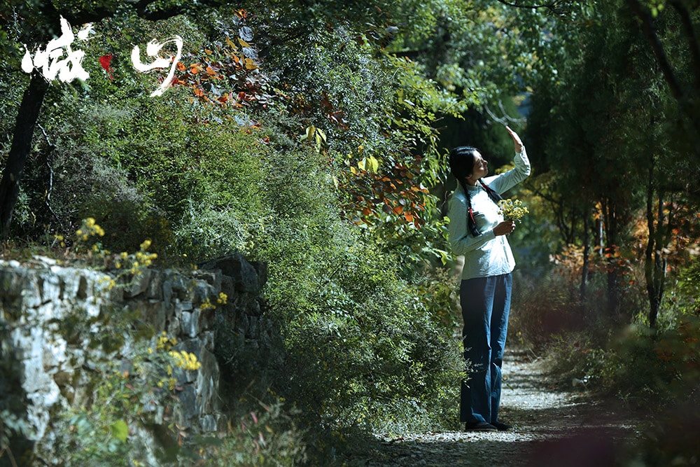 喊·山 高清劇照