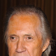 大衛(wèi)·卡拉定