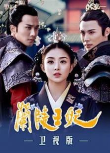 蘭陵王妃 衛視版
