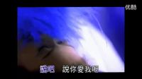 陳淑樺《說，你愛我》MV