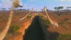 國際版預(yù)告片