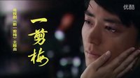 極品二胡【一剪梅】電視劇《新一剪梅》主題曲  邵琳  演奏 [三鑫音影]