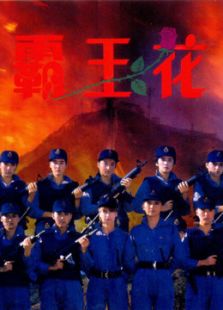 霸王花（粵語）