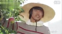 拜托小姐第005集 果園片段