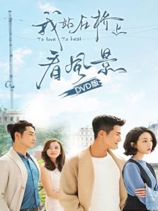 我站在橋上看風景 DVD版