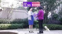 妻子的秘密TV版 第21集預(yù)告