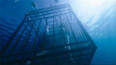 中文版終極預(yù)告片