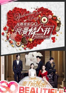 妻子的秘密（衛視版）