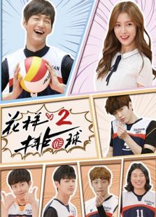 花樣排球第二季