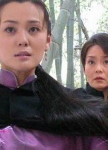 行走的雞毛撣子