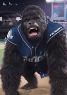 金興來（動作捕捉者）