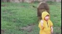 兩歲小男孩動物園看獅子 轉身后竟發生這一幕