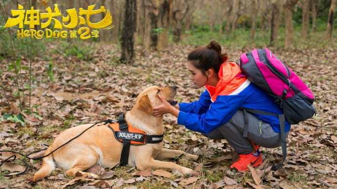 神犬小七第二季  劇照（一）