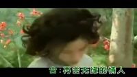 電視劇《木棉花的春天》主題曲《再會(huì)無緣的情人》，經(jīng)典好聽