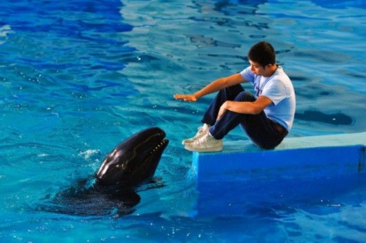 《誰說我不在乎》劇照