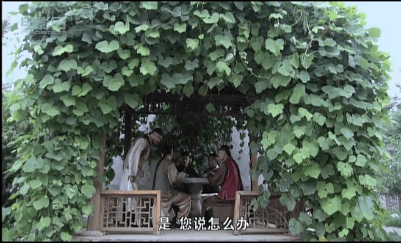 大國(guó)手之首席棋待詔 精彩圖冊(cè)