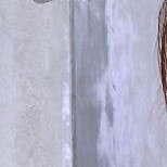 -飾苦戒大師張震