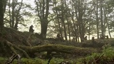 制作特輯之New Zealand